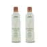 Aveda Rosemary Mint Purifying Shampoo 250 ml -2 Pack