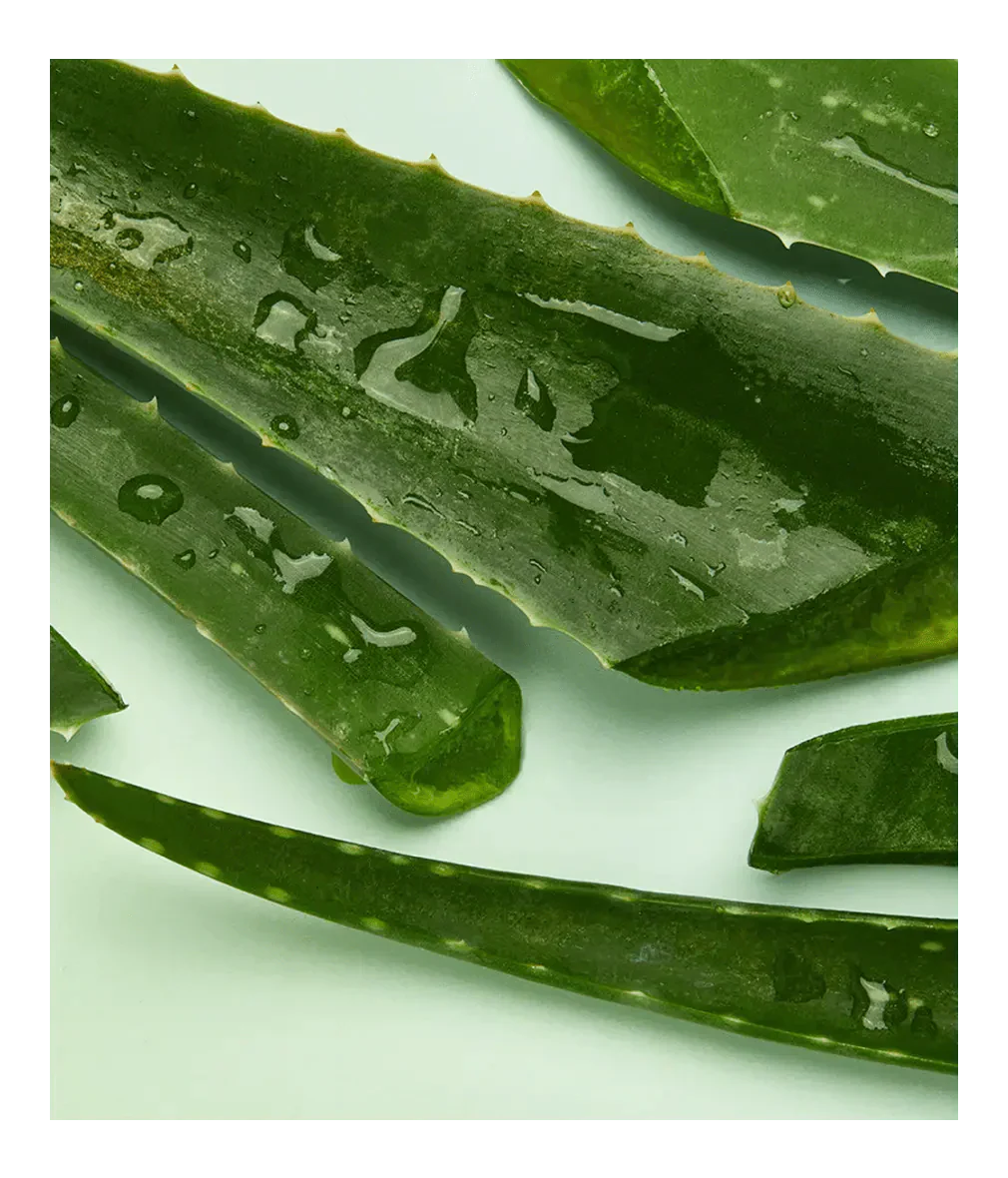 Nivea Sun Moisturising After Sun Spray with Aloe Vera 200ml / 6.8 fl.oz - 3 Pack