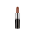 Pastel Nude Lipstick - 546