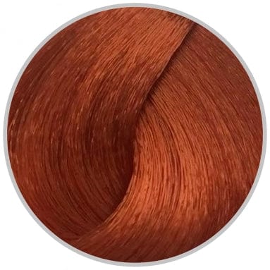 Schwarzkopf Igora Royal Hair Dye 60 ml - 8.77 Intense Copper Light Auburn