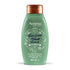 Aveeno Fresh Greens Blend Şampuan 354 ml - Melori