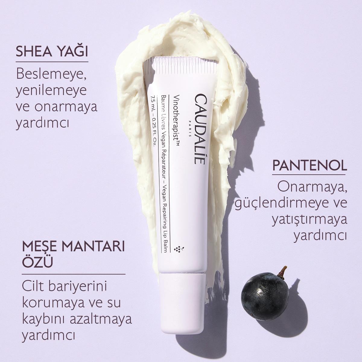 Caudalie Vinotherapist Vegan Dudak Balsamı 7,5 ml - Melori