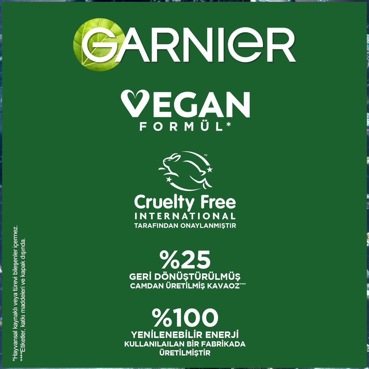 Garnier Saf ve Temiz Kömür Matlaştırıcı Günlük Nemlendirici Krem 50 ml - Melori