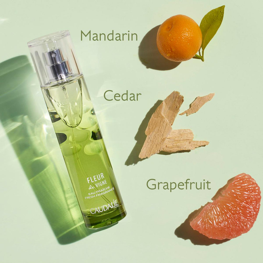 Caudalie Light Fragrances Fleur de Vigne 50 ml