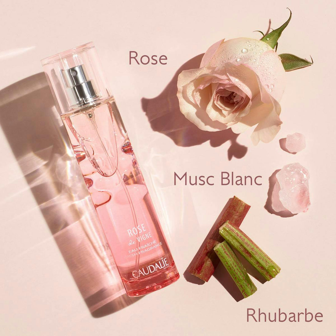 Caudalie Rose de Vigne Fresh Fragrance 50 ml