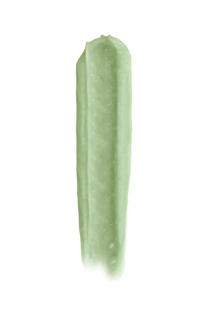 Pastel Pastellab. Lip Renewal Fresh Mint Scrub 4.5g -2 Pack