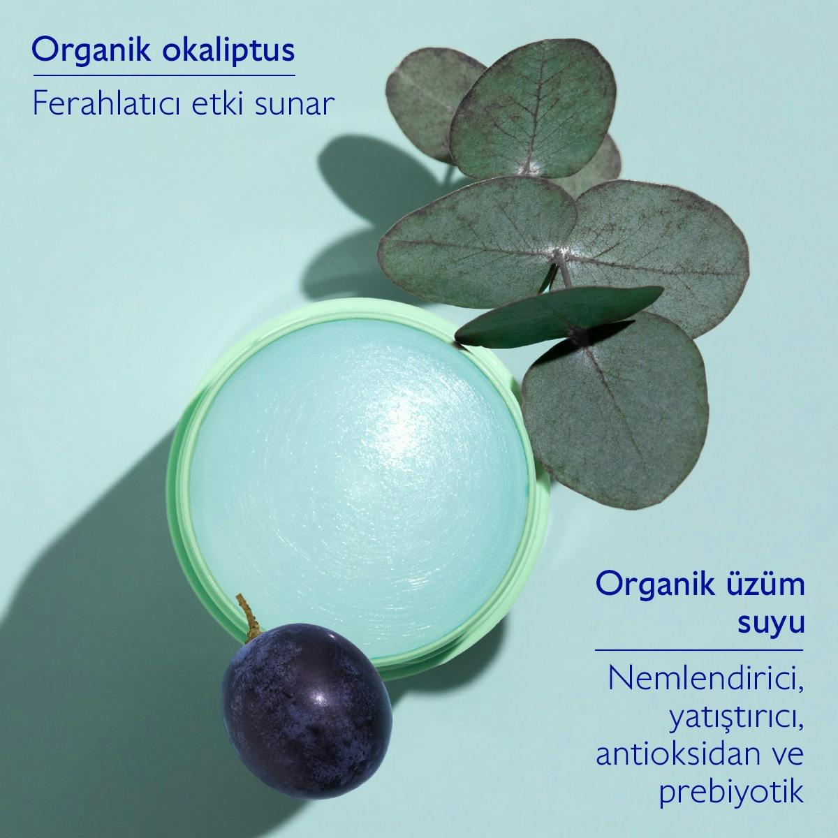 Caudalie Vinofresh Doğal Stick Deodorant 50 gr - Melori