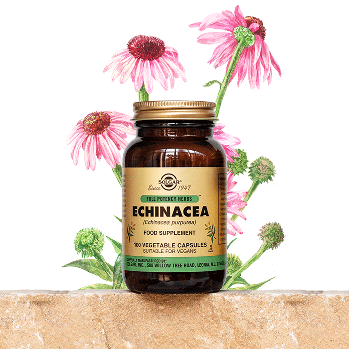 Solgar Echinacea 100 Kapsül - Melori