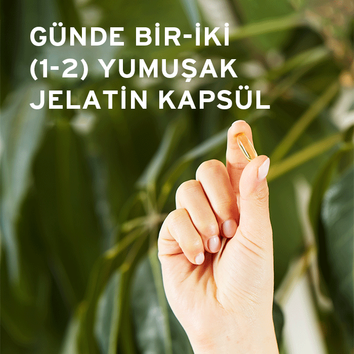 Solgar Evening Primrose Oil 500 mg 60 Yumuşak Jelatin Kapsül - Melori