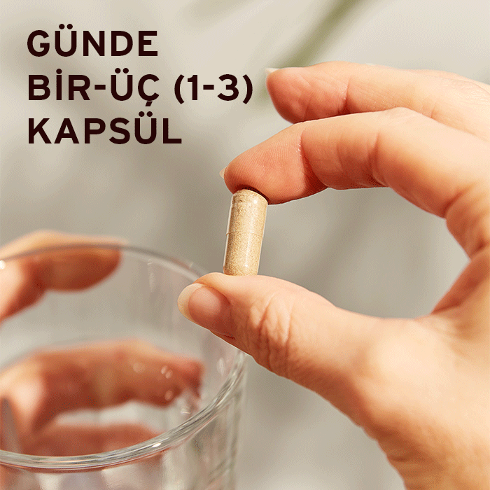 Solgar Milk Thistle 50 Kapsül - Melori